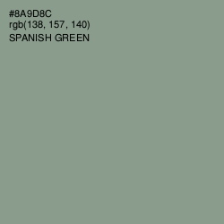 #8A9D8C - Spanish Green Color Image